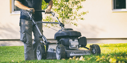 Why you want to Mow the Lawn to correct height