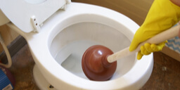 16 Things that Should Never Go Down the Drain or Toilet